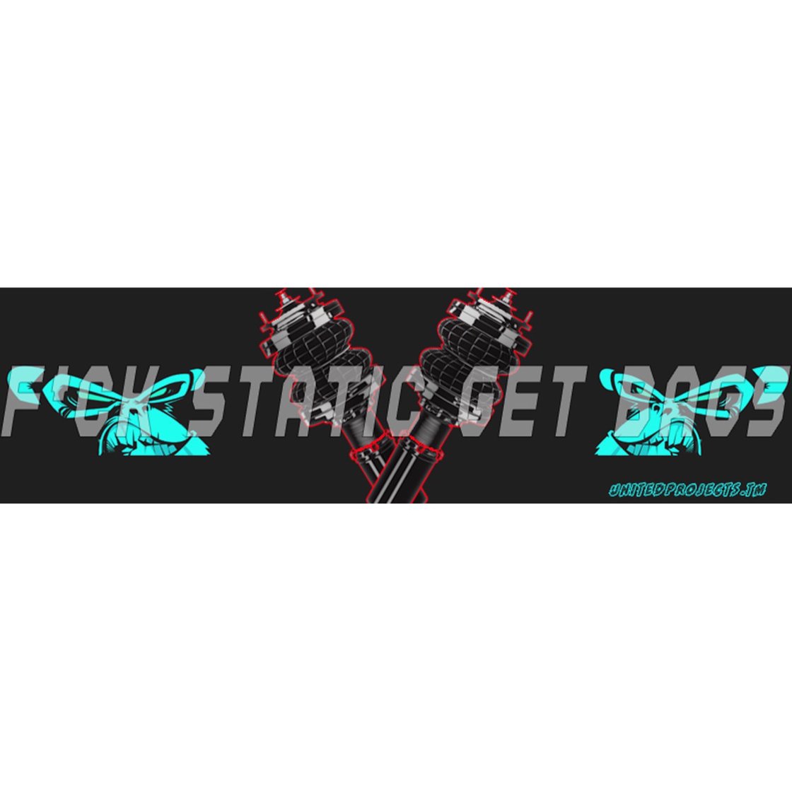 F*CK STATIC GET BAGS SLAP